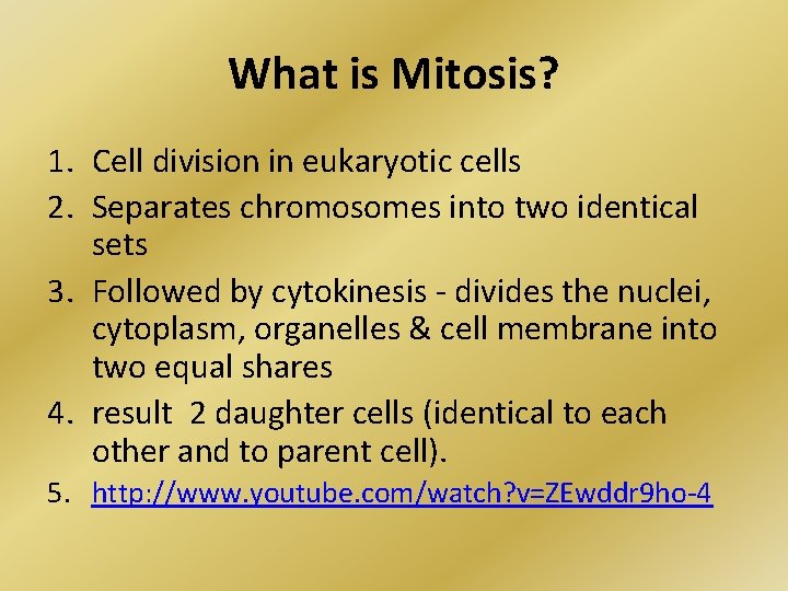 What is Mitosis? 1. Cell division in eukaryotic cells 2. Separates chromosomes into two