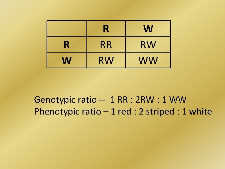 R W R RR RW WW Genotypic ratio -- 1 RR : 2 RW