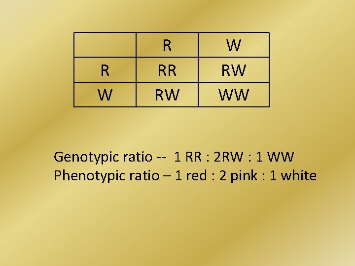 R W R RR RW WW Genotypic ratio -- 1 RR : 2 RW