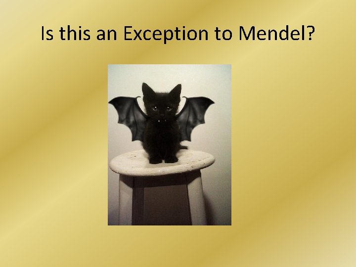 Is this an Exception to Mendel? 