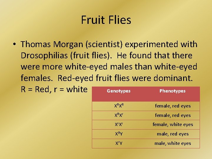 Fruit Flies • Thomas Morgan (scientist) experimented with Drosophilias (fruit flies). He found that
