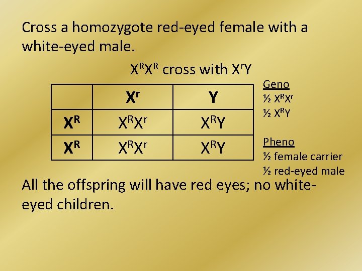 Cross a homozygote red-eyed female with a white-eyed male. XRXR cross with Xr. Y