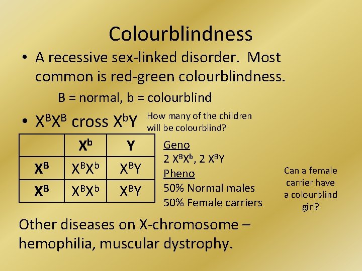 Colourblindness • A recessive sex-linked disorder. Most common is red-green colourblindness. B = normal,