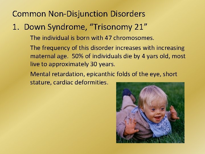 Common Non-Disjunction Disorders 1. Down Syndrome, “Trisonomy 21” The individual is born with 47