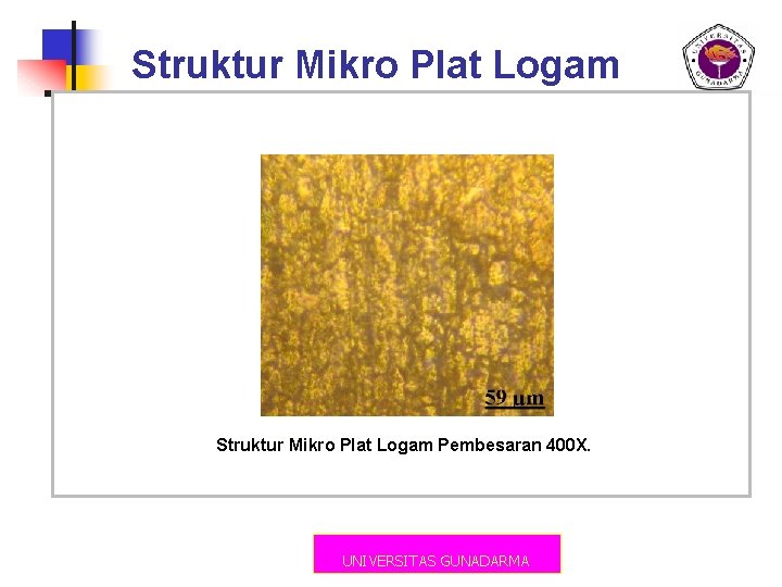 Struktur Mikro Plat Logam Pembesaran 400 X. UNIVERSITAS GUNADARMA 