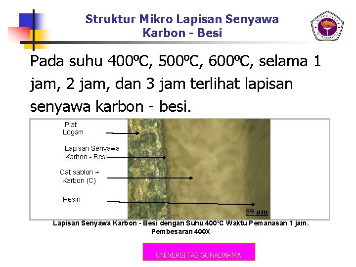 Struktur Mikro Lapisan Senyawa Karbon - Besi Pada suhu 400⁰C, 500⁰C, 600⁰C, selama 1