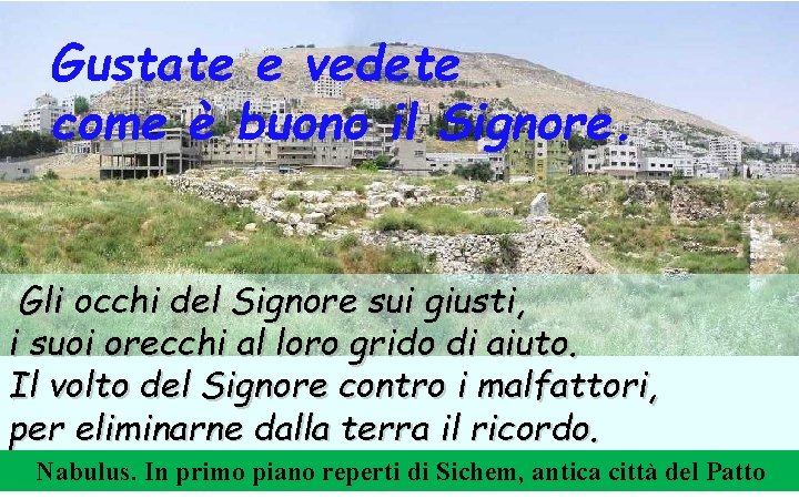 Gustate e vedete come è buono il Signore. Gli occhi del Signore sui giusti,