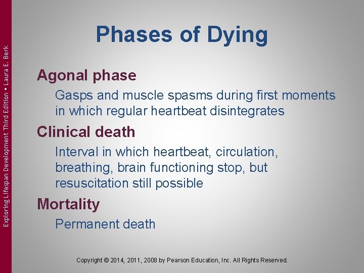 Exploring Lifespan Development Third Edition Laura E. Berk Phases of Dying Agonal phase Gasps