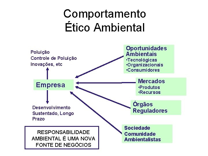 Comportamento Ético Ambiental Poluição Controle de Poluição Inovações, etc Empresa Desenvolvimento Sustentado, Longo Prazo