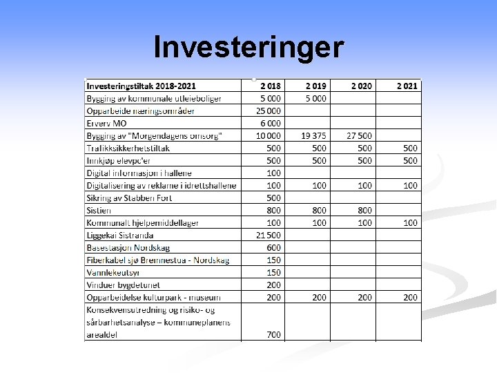 Investeringer 