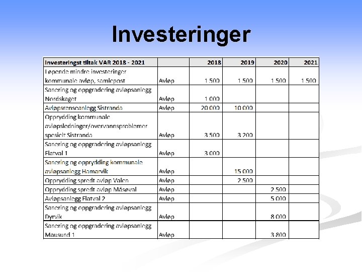 Investeringer 