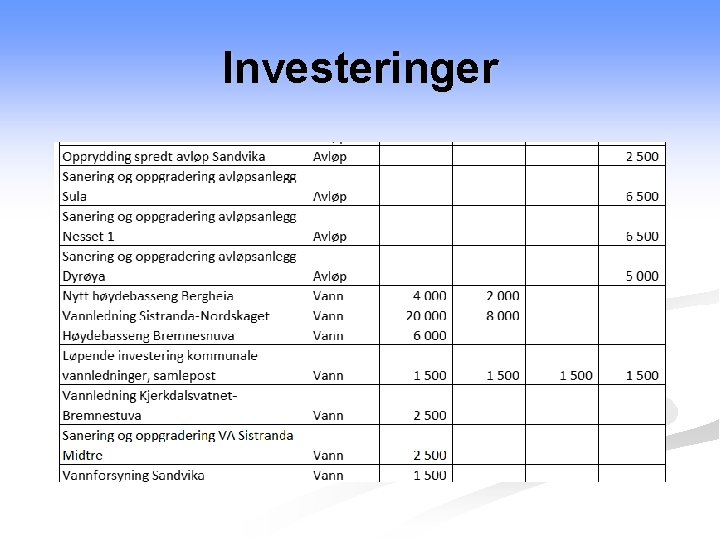 Investeringer 