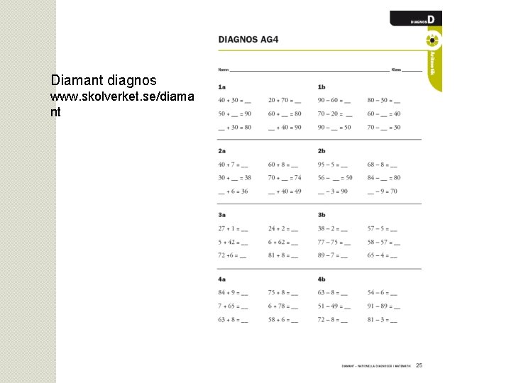 Diamant diagnos www. skolverket. se/diama nt Löwing januari 2013 