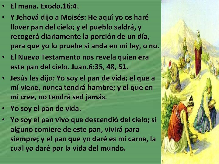  • El mana. Exodo. 16: 4. • Y Jehová dijo a Moisés: He