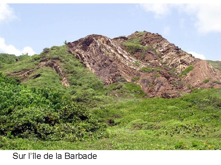 Sur l’île de la Barbade 