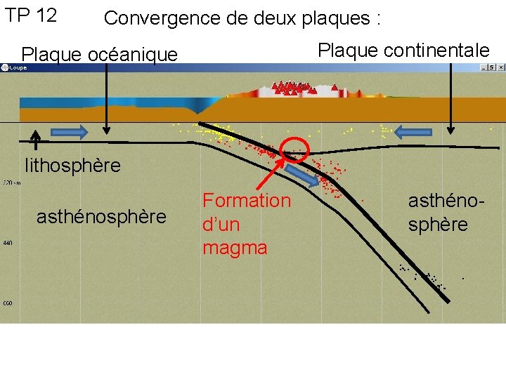TP 12 Convergence de deux plaques : Plaque continentale Plaque océanique lithosphère asthénosphère Formation