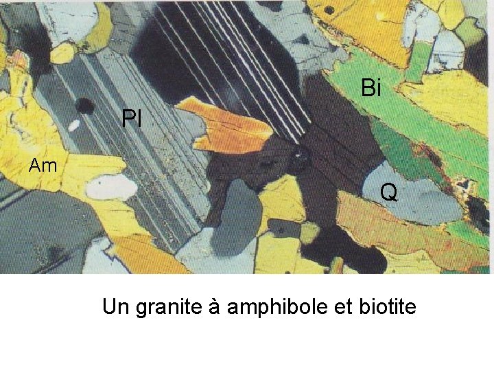 Bi Pl Am Q Un granite à amphibole et biotite 