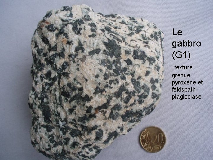 Le gabbro (G 1) texture grenue, pyroxène et feldspath plagioclase 