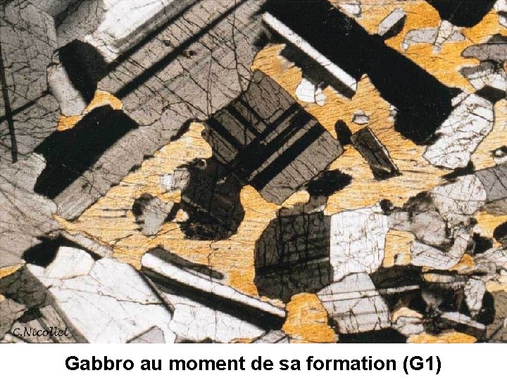 Gabbro au moment de sa formation (G 1) 