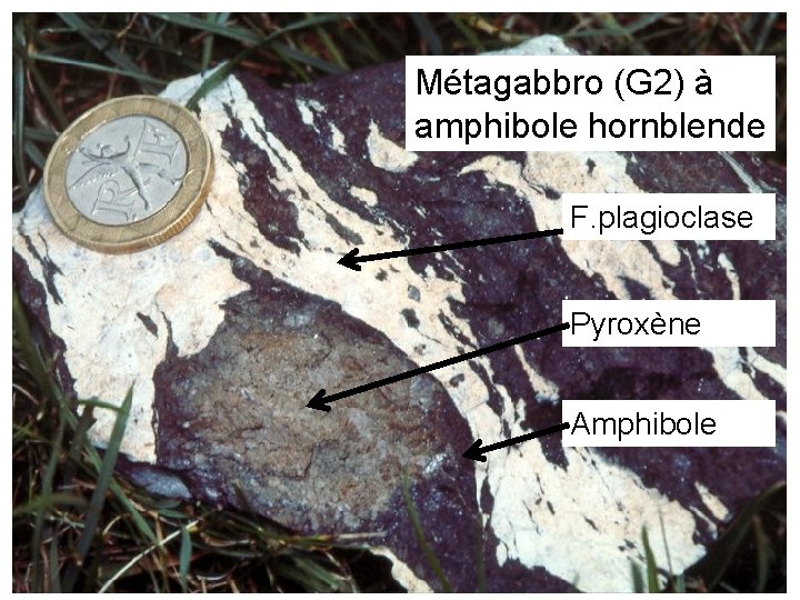 Métagabbro (G 2) à amphibole hornblende F. plagioclase Pyroxène Amphibole 