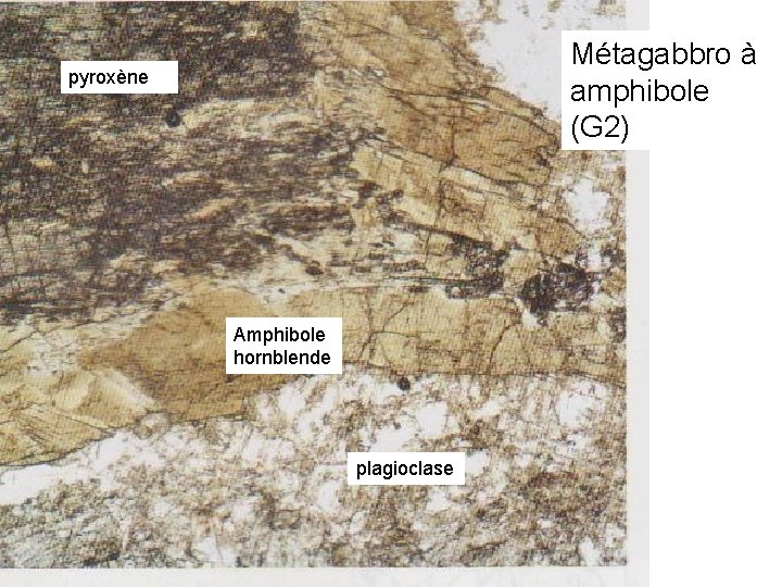 Métagabbro à amphibole (G 2) pyroxène Amphibole hornblende plagioclase 