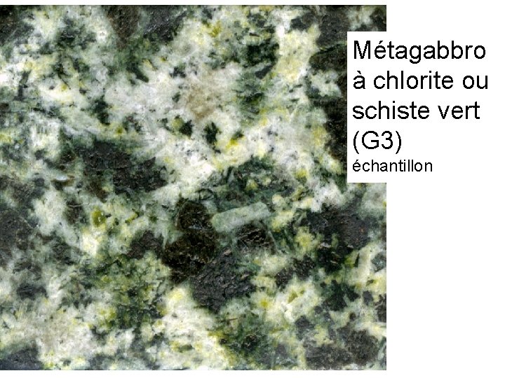 Métagabbro à chlorite ou schiste vert (G 3) échantillon 