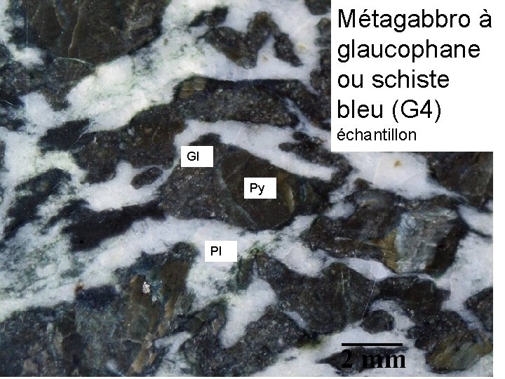 Métagabbro à glaucophane ou schiste bleu (G 4) échantillon Gl Py Pl 