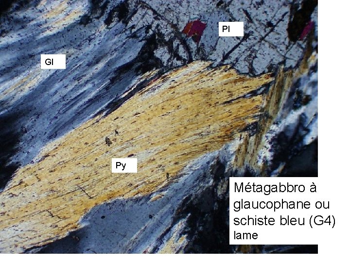 Pl Gl Py Métagabbro à glaucophane ou schiste bleu (G 4) lame 