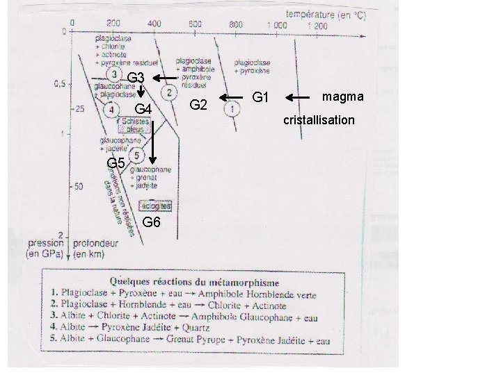 G 3 G 4 G 5 G 6 G 2 G 1 magma cristallisation