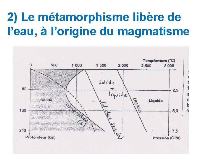 2) Le métamorphisme libère de l’eau, à l’origine du magmatisme 