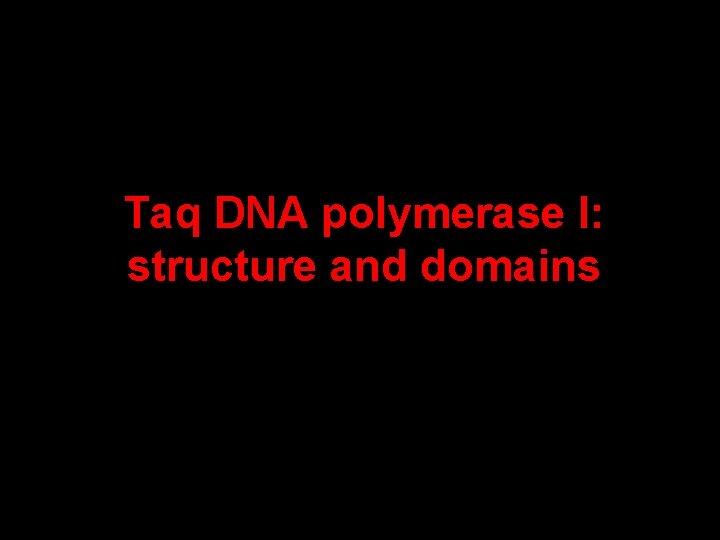 Taq DNA polymerase I: structure and domains 