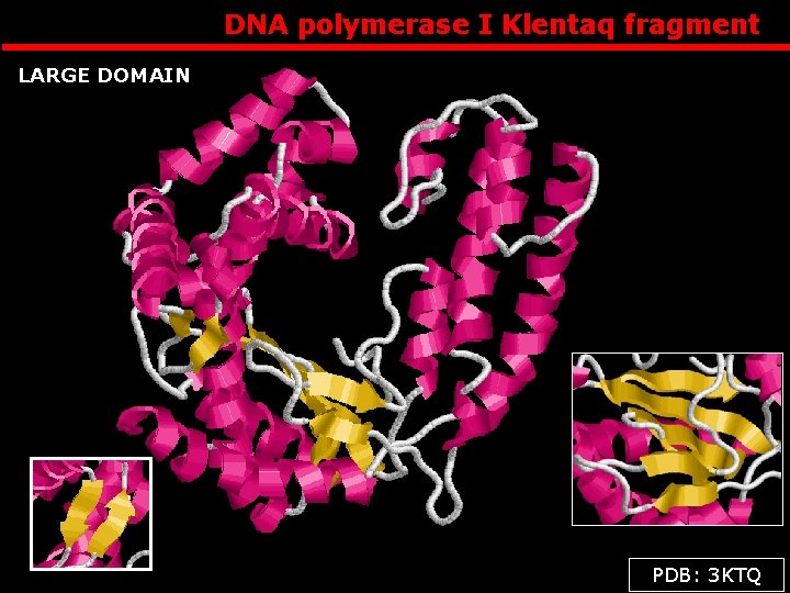 DNA polymerase I Klentaq fragment LARGE DOMAIN PDB: 3 KTQ 