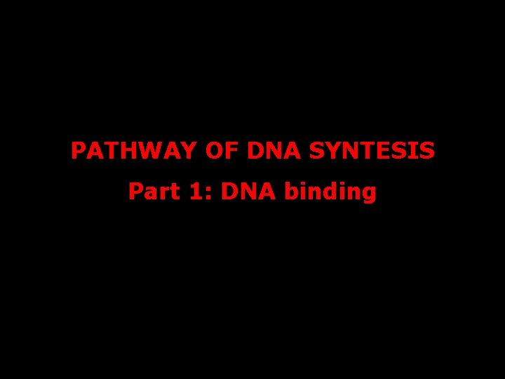PATHWAY OF DNA SYNTESIS Part 1: DNA binding 