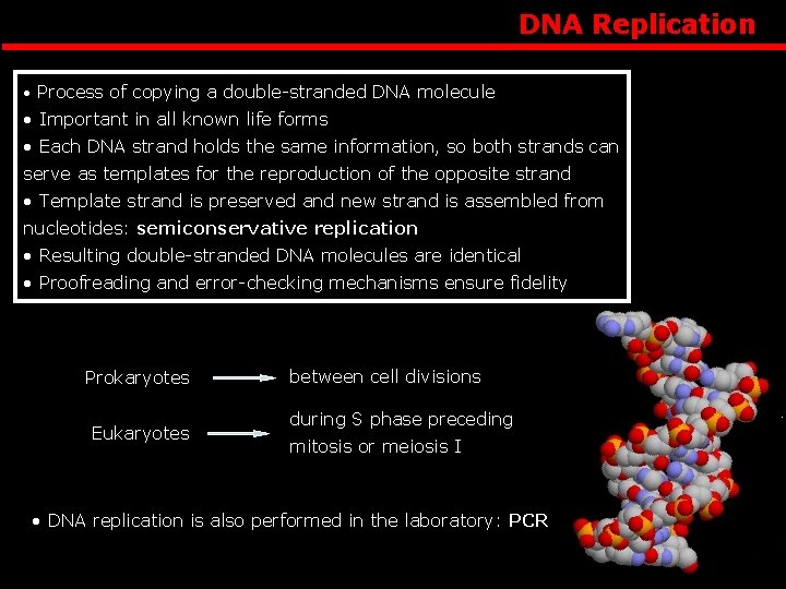 DNA Replication • Process of copying a double-stranded DNA molecule • Important in all
