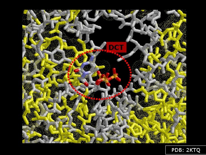 DCT PDB: 2 KTQ 