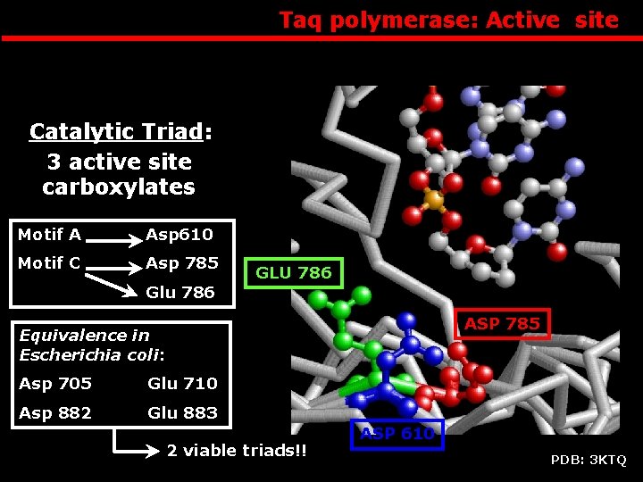 Taq polymerase: Active site Catalytic Triad: 3 active site carboxylates Motif A Asp 610