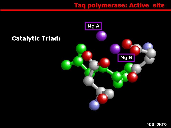 Taq polymerase: Active site Mg A Catalytic Triad: Mg B PDB: 3 KTQ 