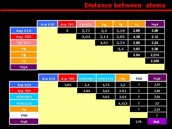Distance between atoms Asp 610 Asp 785 Tyr 611 Pa Pb Pg Mg. A