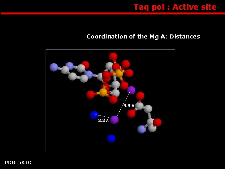 Taq pol : Active site Coordination of the Mg A: Distances 3. 8 A