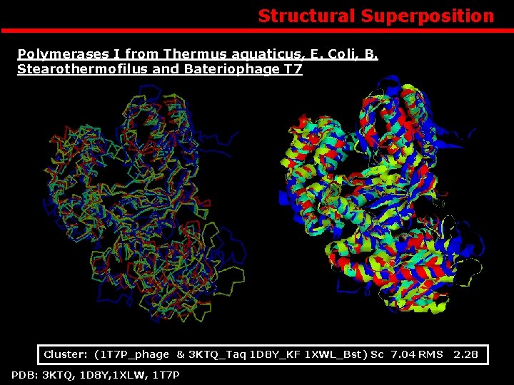 Structural Superposition Polymerases I from Thermus aquaticus, E. Coli, B. Stearothermofilus and Bateriophage T