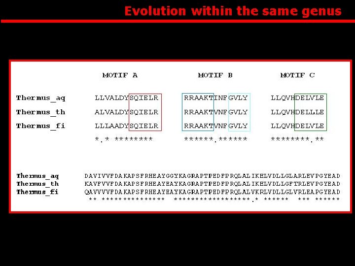 Evolution within the same genus 