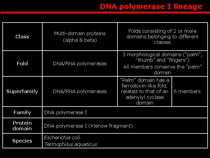 DNA polymerase I lineage Class Fold Superfamily Multi-domain proteins (alpha & beta) Folds consisting
