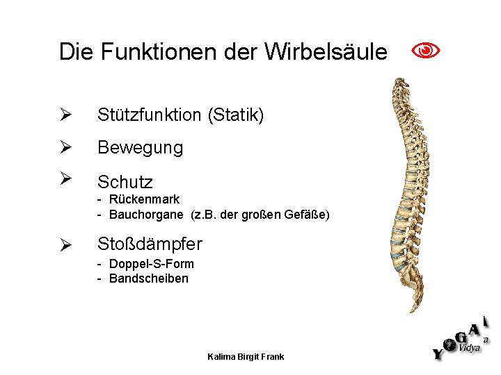 Die Funktionen der Wirbelsäule Stützfunktion (Statik) Bewegung Schutz - Rückenmark - Bauchorgane (z. B.