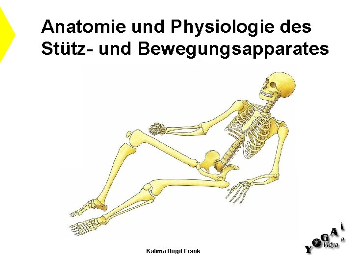 Anatomie und Physiologie des Stütz- und Bewegungsapparates Kalima Birgit Frank Anatomie und Physiologie des Stütz- und Bewegungsapparates Kalima Birgit Frank
