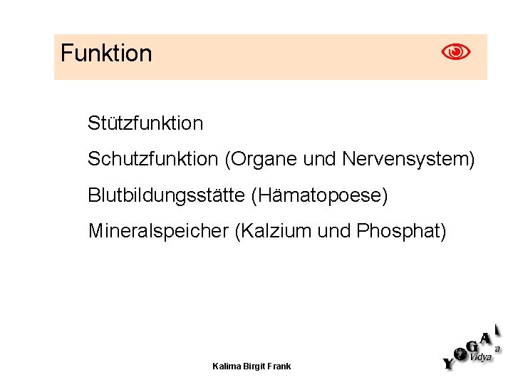  Funktion Stützfunktion Schutzfunktion (Organe und Nervensystem) Blutbildungsstätte (Hämatopoese) Mineralspeicher (Kalzium und Phosphat) Kalima