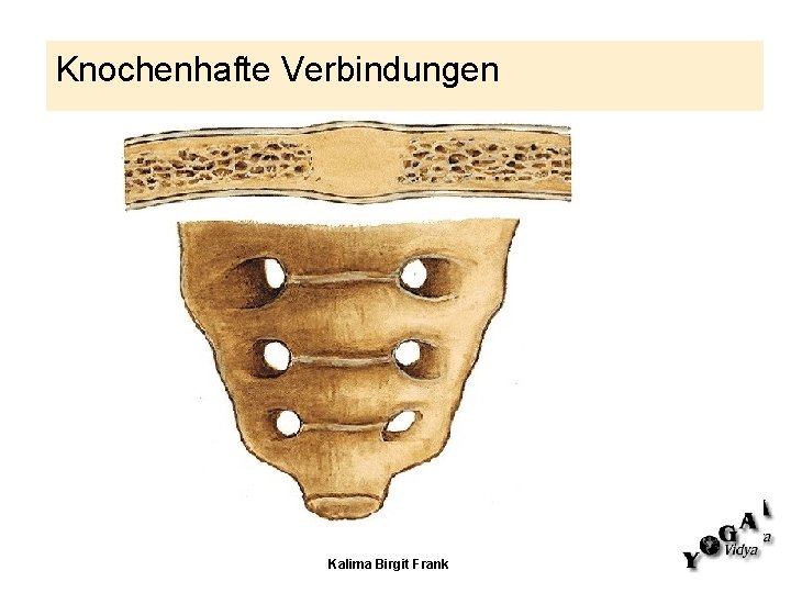 Knochenhafte Verbindungen Kalima Birgit Frank Knochenhafte Verbindungen Kalima Birgit Frank