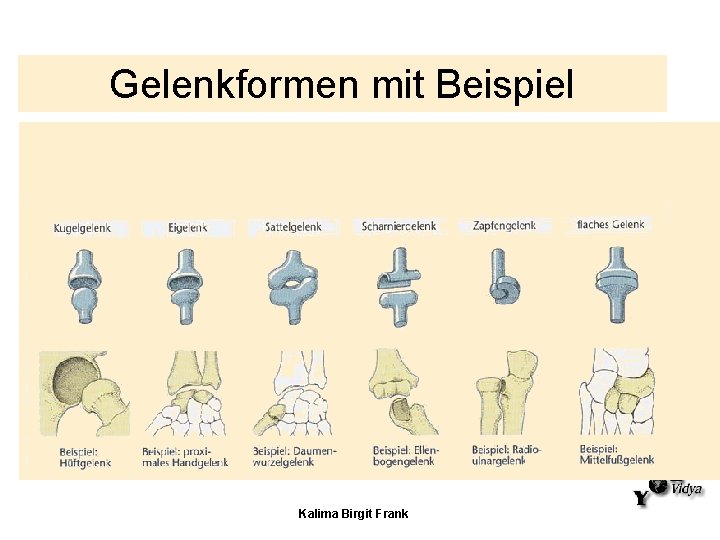 Gelenkformen mit Beispiel Kalima Birgit Frank 