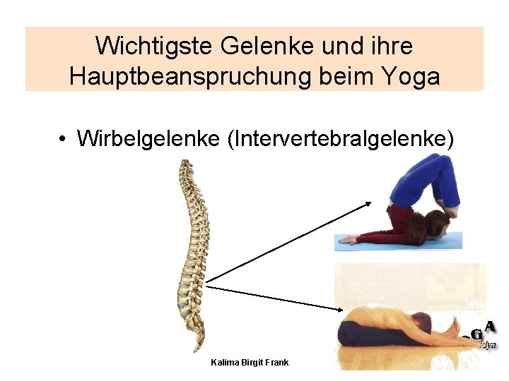 Wichtigste Gelenke und ihre Hauptbeanspruchung beim Yoga • Wirbelgelenke (Intervertebralgelenke) Kalima Birgit Frank Wichtigste Gelenke und ihre Hauptbeanspruchung beim Yoga • Wirbelgelenke (Intervertebralgelenke) Kalima Birgit Frank