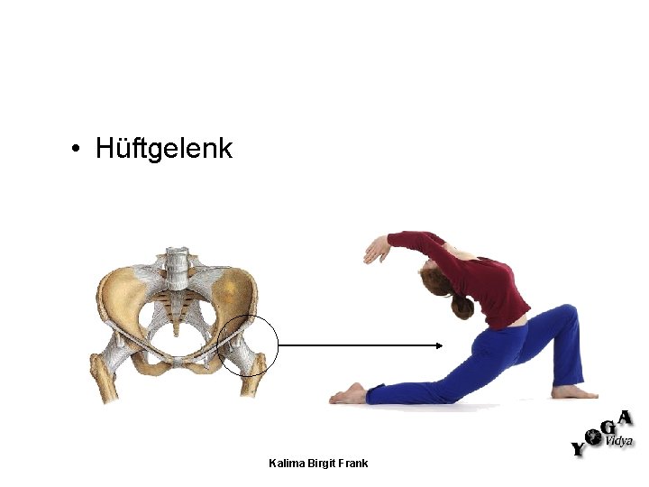 • Hüftgelenk Kalima Birgit Frank • Hüftgelenk Kalima Birgit Frank