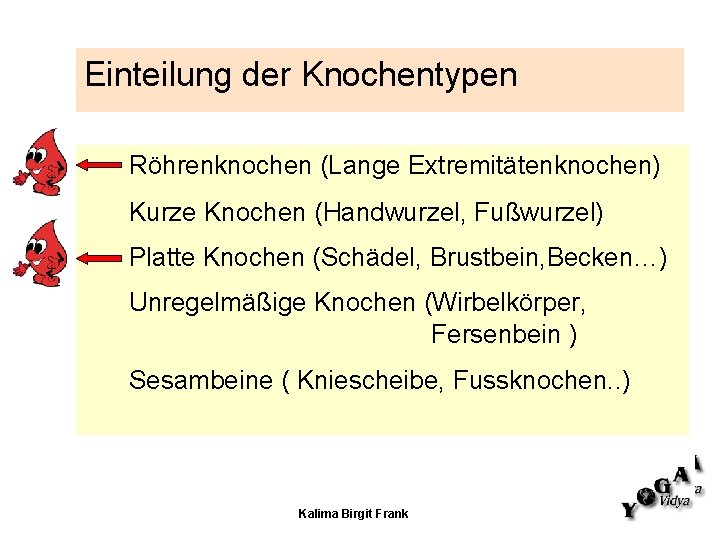 Einteilung der Knochentypen Röhrenknochen (Lange Extremitätenknochen) Kurze Knochen (Handwurzel, Fußwurzel) Platte Knochen (Schädel, Brustbein,